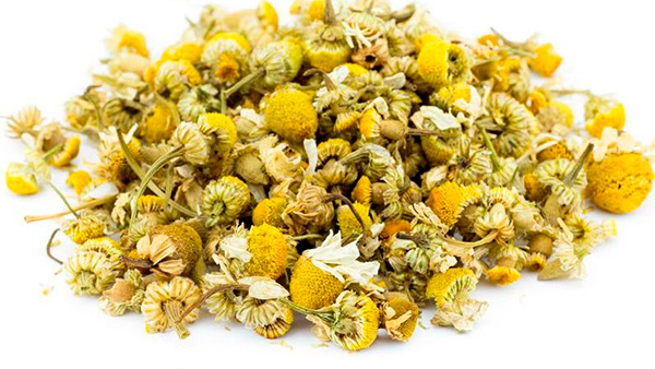 chamomile