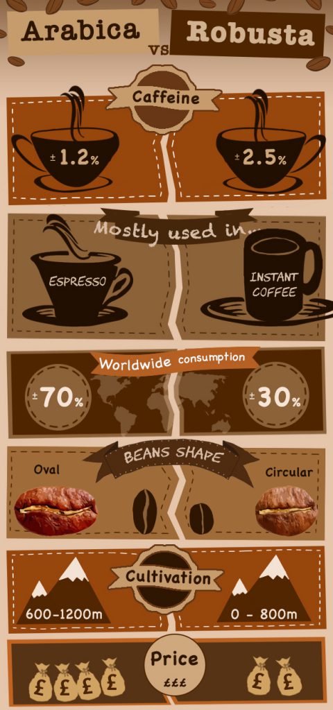 infographic-robusta-vs-arabica