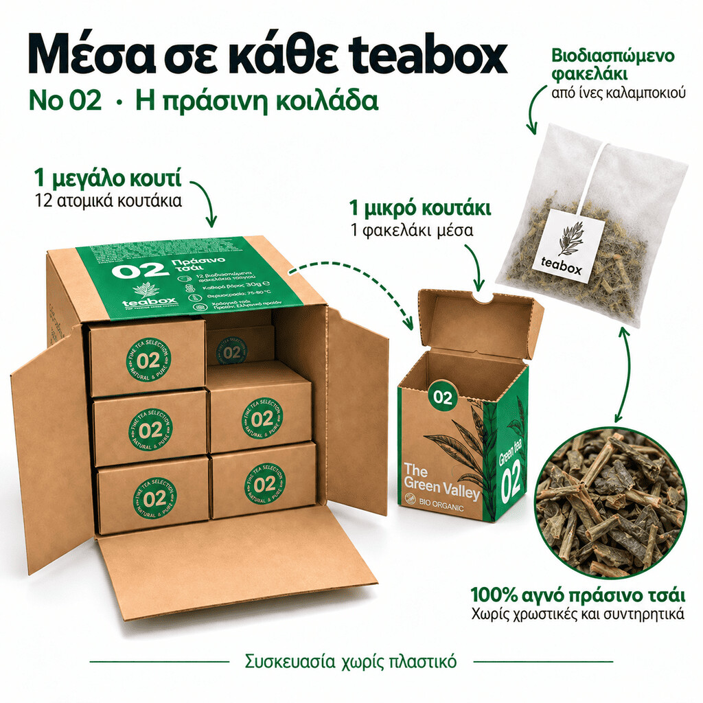 02_Η πράσινη κοιλάδα_2